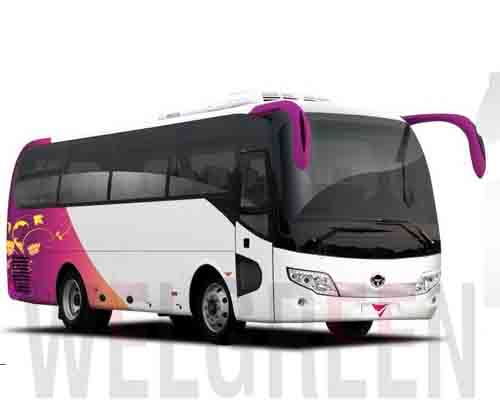 Welgreen Kerala Holidays - 